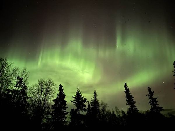 Northern Lights swirling in dark green and light green