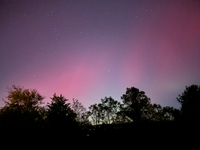 Beautiful pink aurora borealis over the shadow of trees.