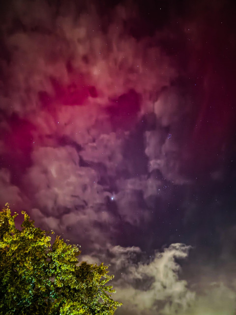 A cloudy sky with bright red aurora shining through, along with some stars and an illuminated tree below.