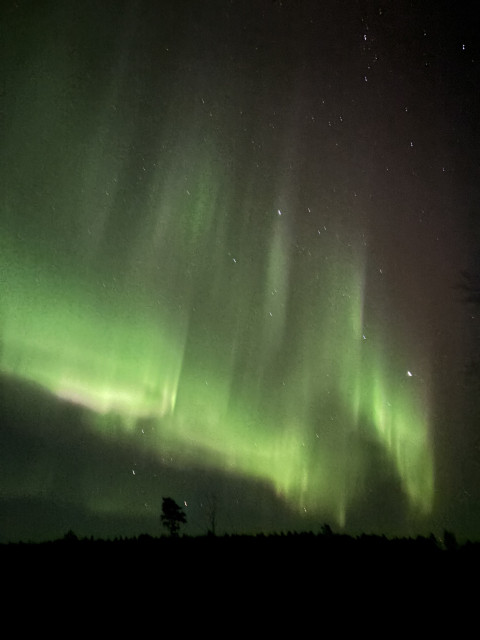 Green and some red aurora