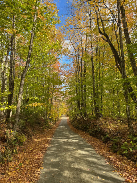 View down a dirt road in the fall