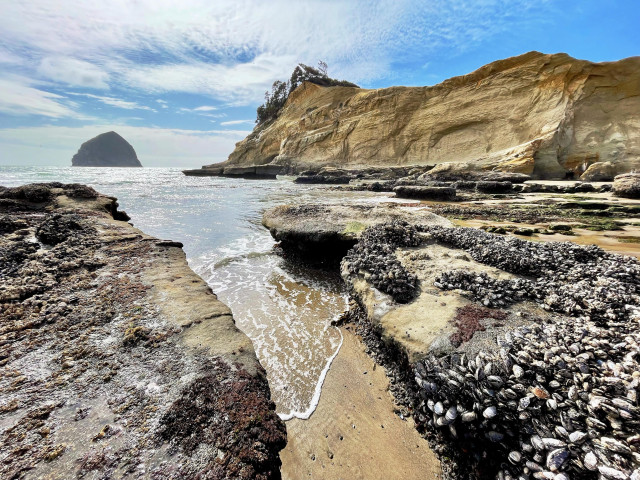 A rocky coastline with tide pools and barnacles is seen in the foreground, leading to a sandy beach. In the background, a large, prominent rock formation rises from the ocean under a partly cloudy sky.