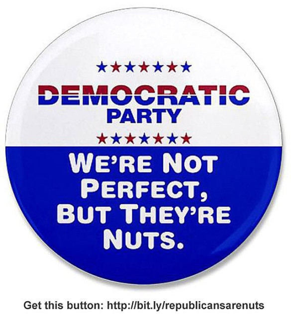 large campaign button reading Democratic party: we're not perfect, but they're nuts