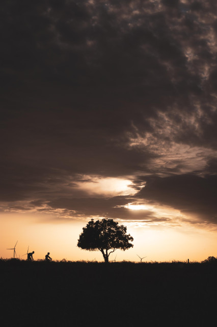 Fotografía donde se ve en la parte inferior central la silueta de un árbol contra un atardecer de contraste oscuro. Cerca del árbol, en la zona izquierda se ven las siluetas de dos ciclistas.