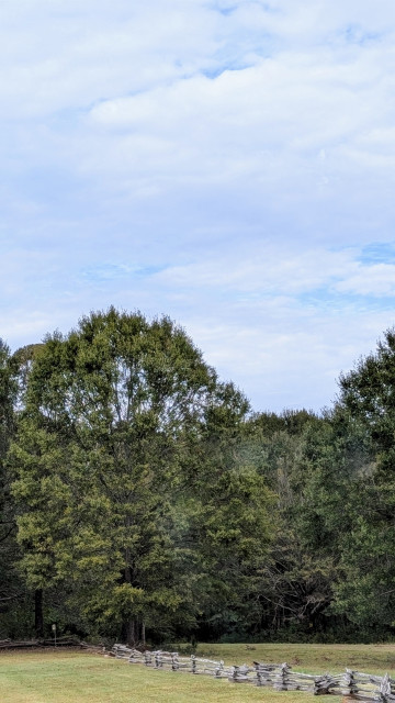 two grassy fields divided by a split rail fence. A large oak tree in the field on the right where the fence meets a woods. a. under a partly cloudy sky.