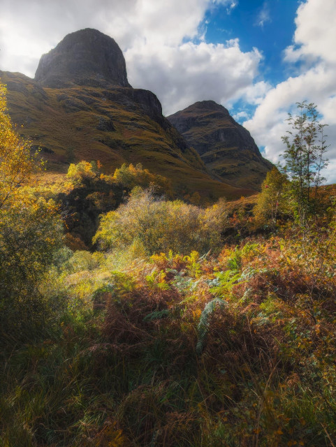 A stunning autumnal scene in Glencoe, captured beneath two of the Three Sisters mountains. The foreground is awash with rich, warm hues of autumn, featuring a tapestry of golden ferns, russet bracken, and vibrant yellow foliage. Deciduous trees in their fall colours create a middle ground, their leaves catching the soft sunlight. Towering above, the dramatic, craggy peaks of two of the Three Sisters dominate the skyline, their rugged silhouettes stark against a partly cloudy sky. The leftmost peak, particularly prominent, casts a shadow across its lower slopes. The interplay of light and shadow across the landscape highlights the raw, untamed beauty of the Scottish Highlands in autumn, creating a scene of breathtaking natural grandeur.