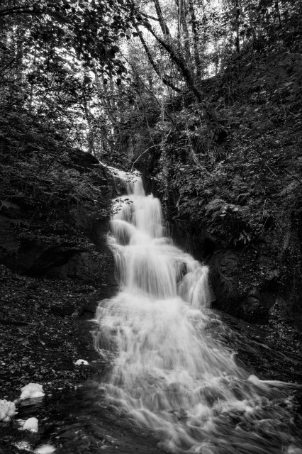 A slow shutter speed smoothes out the water falling down a waterfall in a steep-sided woodland gully where mosses and ivy hang from the trees clinging to the slopes