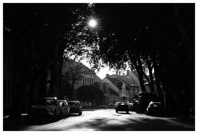 Schwarzweißfoto. Alleenstraße in einer Stadt. Die Bäume bilden einen dunklen Rahmen, der in der Mitte von einem Sonnenstern durchbrochen wird. Am Straßenrand parkende, und auf der Straße fahrende Autos. Sonnensterne an den Fahrzeugen durch die reflektierende Sonne. Im Hintergrund alte Häuser, die die Straße säumen.