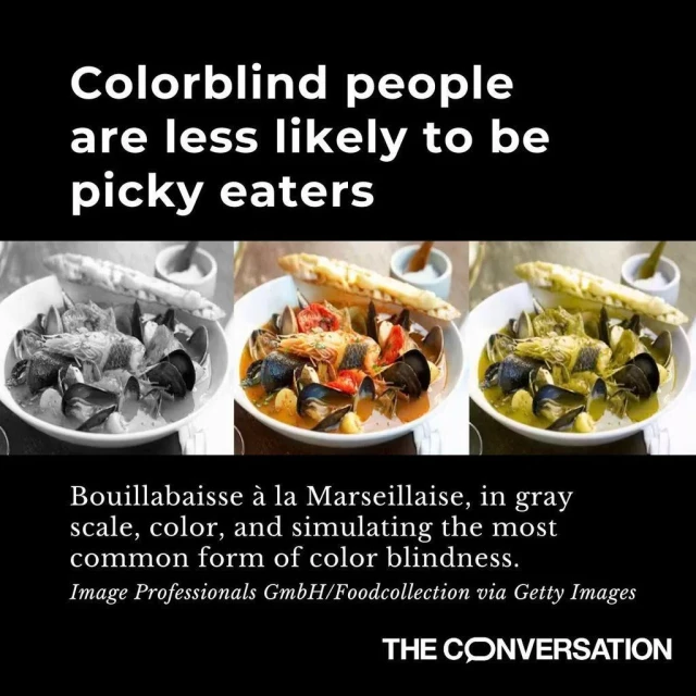 The graphic reads "Colorblind people are less likely to be picky eaters". Then, we can see the same picture of a meal in different colors. Below, we read "Bouillabaisse a la Marseillaise, in gray scale, color, and simulating the most common form of color blindness". 