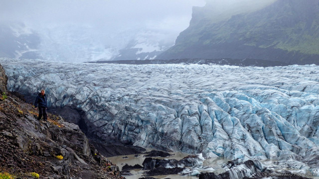 A photo of a glacier, the mountain it descends from is partially hidden by mist. On the right is a cliff face with green vegetation on its flanks. The glacial ice is cyan in the deep cracks and crevasses, and almost white on the surface. The base of the ice flow is visible in the foreground, this is black and grey and is melting into muddy pools. This is known as "dead ice" because it doesn't move much, and the mud is actually suspended glacial flour. On the left is an uneven path on top of a rocky outcrop, and a person is walking carefully towards the viewer.