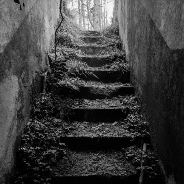 An overgrown old staircase leading to the exit.