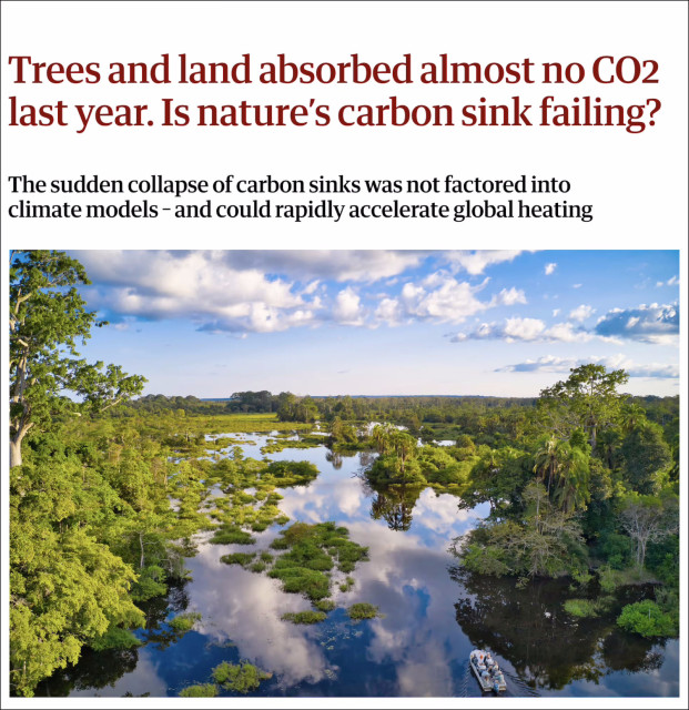 Screenshot from top of linked article. Headline says: "Trees and land absorbed almost no CO2 last year. Is natures carbon sink failing? The sudden collapse of carbon sinks was not factored into climate models – and could rapidly accelerate global heating." Below this is a photo of the Congo River flowing through green wetlands in Africa. 