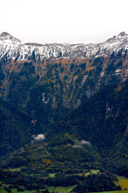 A majestic mountain landscape showcasing diverse elevations and ecosystems. In the foreground, a lush green valley with meadows and scattered trees is visible. The middle ground is dominated by dense evergreen forests covering the mountainside, with patches of autumn colors visible. Small wisps of clouds hover above the forest. The upper portion of the image features rugged, snow-capped mountain peaks against a pale sky. The scene captures the transition from verdant lowlands to barren, snow-covered heights, illustrating the varied topography and climate zones within a single mountain range.