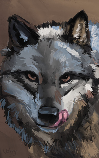 Wolf speedpaint 