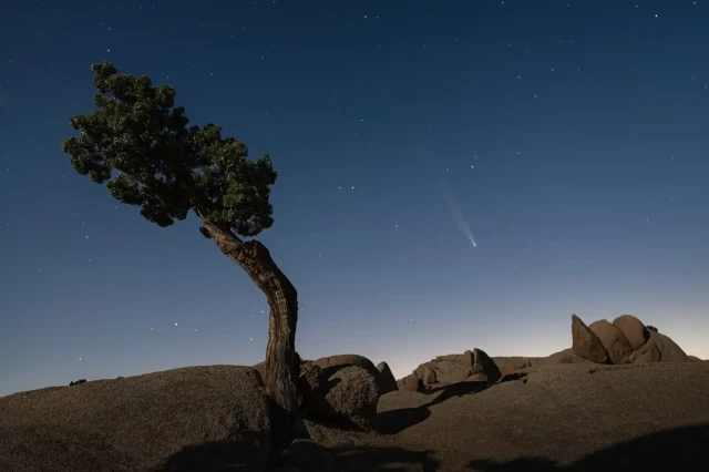 A comet seen in the sky at dusk behind rocky terrain and a tree 