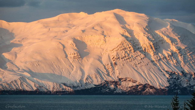 A photo of a snow-covered mountain range, with a foreground of low-lit turquoise water and a few treetops. The sky above looks cloudy. The craggy face of the mountains, carved by weather and water, are lit softly pink and orange by the sunrise which is casting pastel light from the left. The shoreline between the bay and the foot of the mountains is sheer near-vertical rock, and a fishing boat is in the water about one third of the way from the left, lending scale.