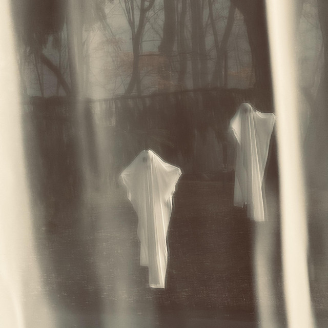 Two ghosts hang in the wind –framed by sheer curtains. Fence and trees in the background.