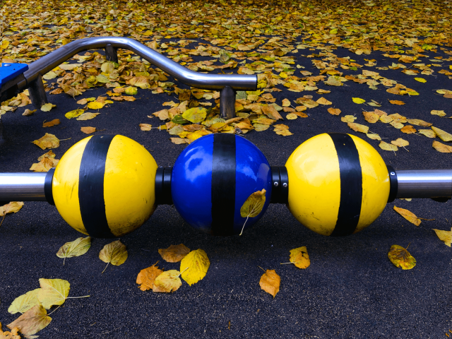 Three large plastic spheres next to each other on a horizintal stainless steel rod. The sphere are coloured (yellow, blue, yellow) with a thicj balck vertical stripe on each one. The background in a collection of wet golden leaves collected together on a dark rubbery surface.