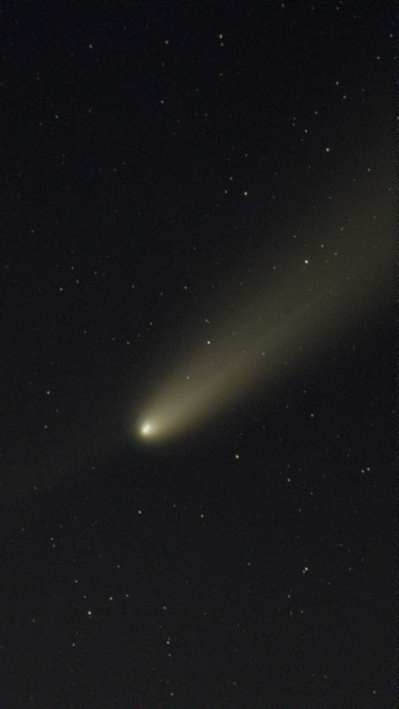 A comet in the night sky. A distinct bright nucleus and yellowish, diffuse but bow-shock swept dust tail follows it. In the background are plenty of stars. 