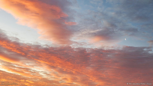 A photo of the pale cyan morning sky, with streaks and scarves of cloud spread across it. The rising sun has tinted these clouds brightly orange, and a decrescent moon is hanging in a patch of clear sky.