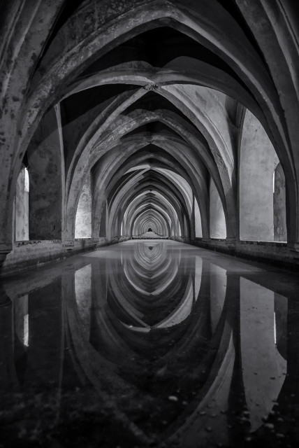 Cistern under the Alcazar in Seville, Spain used for drinking water. It is a long rectangular pool with an vaulted ceiling above, not unlike the ceiling in a gothic cathedral. (I fixed it up a little to look more elegant.)