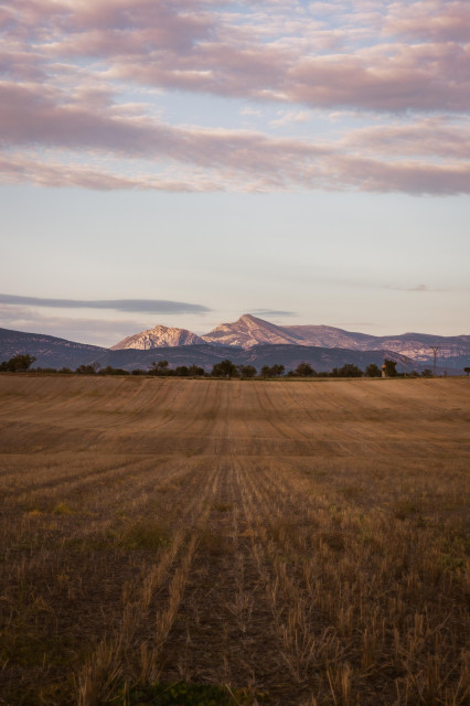 Paisaje donde en la mitad inferior se ve un campo segado seco cuyas líneas nos dirigen hacia unas montañas al fondo y un cielo con algunas nubes. Todo ello con una luz algo anaranjada y rosácea del atardecer.