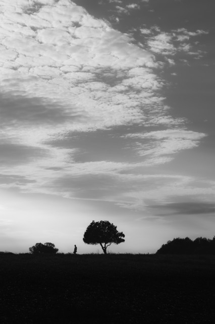 Fotografía vertical. En el tercio inferior se ve un paisaje casi plano en negro donde destaca la silueta de un árbol y un hombre cerca del mismo. En la parte superior se ve un cielo con nubes.