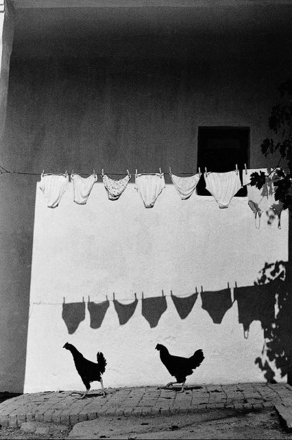 Photography. A black and white photo of a washing line and chickens in a courtyard. The photo lives from light and shadow. A white wall with a small window at the top right is the canvas for this village scene. Six light-colored underpants and an undershirt hang very high and in a row on a washing line. Below them, two black chickens run through the picture. Immediately above them, the washing line is repeated as a shadow play, so that two washing lines appear in the picture. Individual branches of a tree can be seen to the side. You even catch yourself checking the appearance of the black chickens to see if they are just a shadow. To stage this harmonious everyday scene so skillfully is a true art.
Info: Bruno Bourel is a french photographer born in Paris in 1957. After studying music and film making, he started photography with Polaroid SX 70 in the late seventies. He lives and work in Budapest since 1993.