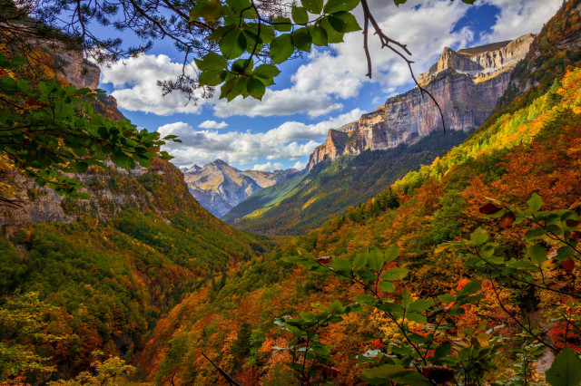 Se ve un gran angular donde se ve el follaje, los árboles y al fondo parte de las montañas del parque de Ordesa (Huesca) con los colores del otoño.