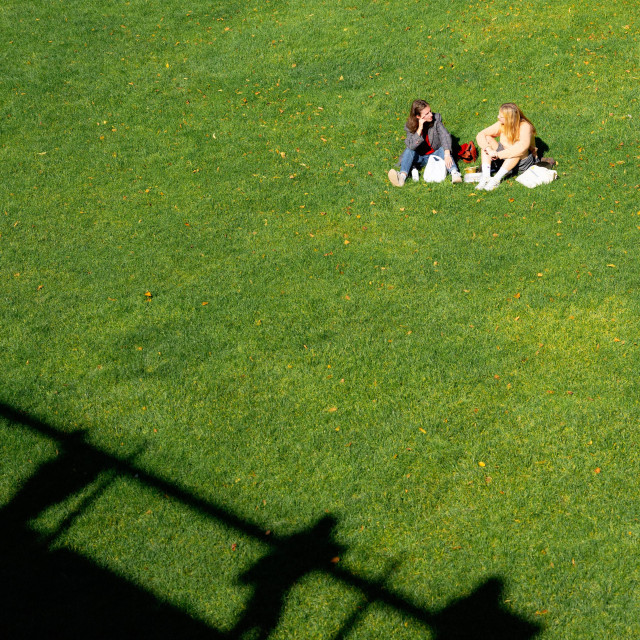 An overhead view of two people sitting on a bright green lawn scattered with yellow leaves. In the foreground, a dramatic shadow of what appears to be a cross or utility pole stretches across the grass. The two people are sitting together in the upper right portion of the frame, with their belongings beside them, creating a striking contrast of scale against the expansive green space.