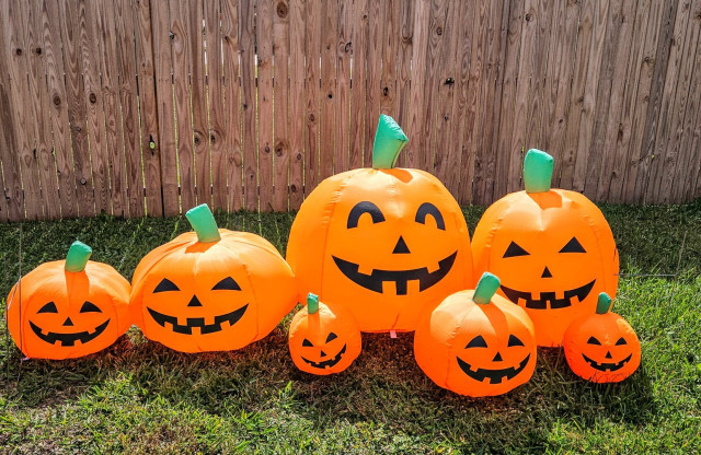 Several bright orange, inflatable Halloween jack-o-lanterns of different shapes and sizes displayed on the green lawn of a front yard.