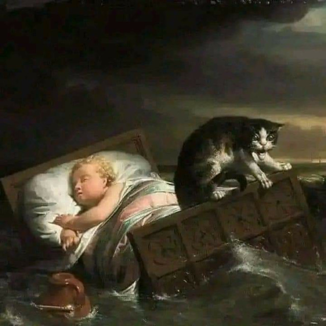  A young child sleeps peacefully in a bed that is floating on water. A cat stands on the edge of the bed, looking over the side with a surprised expression.