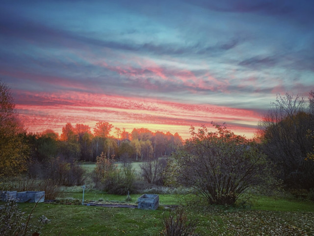 A view over fields and some trees with the morning sky visible in all pink.