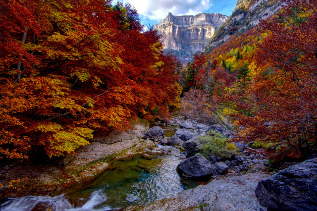 Fotografía horizontal del parque natural de Ordesa. Se pueden ver bastantes árboles tanto a derecha como a izquierda con colores de otoño. En la parte central está recorrida por un pequeño río y al fondo se ve una formación montañosa con la luz del atardecer.