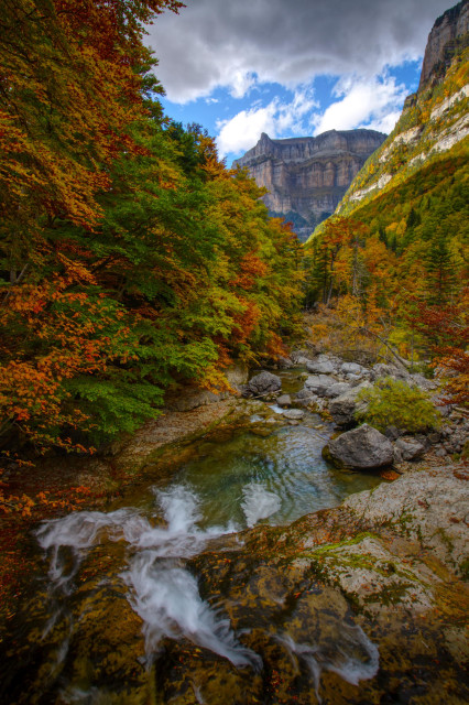 Fotografía vertical del parque natural de Ordesa. Se pueden ver bastantes árboles tanto a derecha como a izquierda con colores de otoño aunque más atenuados. La parte más central está recorrida por un pequeño río y al fondo se ve una formación montañosa con algunas nubes sobre la misma.