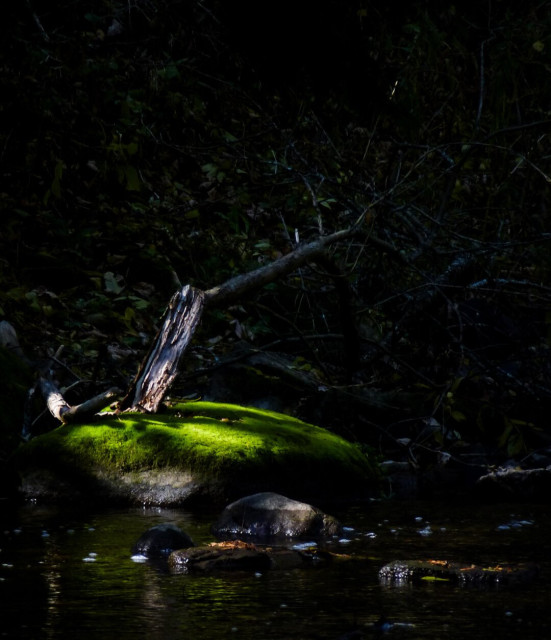 A rock sitting beside a stream is covered in bright green moss with a large log sitting nearby. Most of the image is in deep shadow while sunlight  shines through the trees light up the rock.