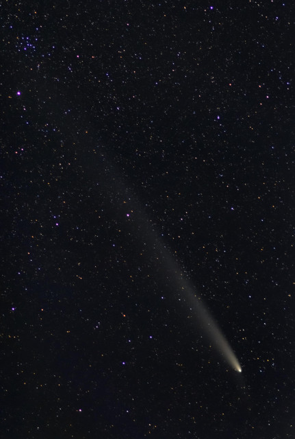 A picture showing a comet and its tail running from bottom right to top left. There are many stars sprinkled across the image against a dark night sky. 