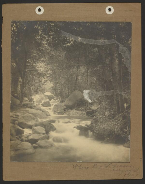 Old photograph of river in forest