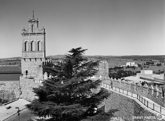 A black-and-white film photo from the top of the city wall looking along it towards a brick-built belfry. A large tree is in the foreground.