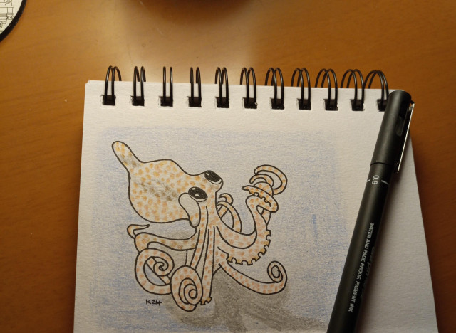 Photo of a sketch pad and pen with the drawing of a baby octopus with huge eyes looking to the right of the screen