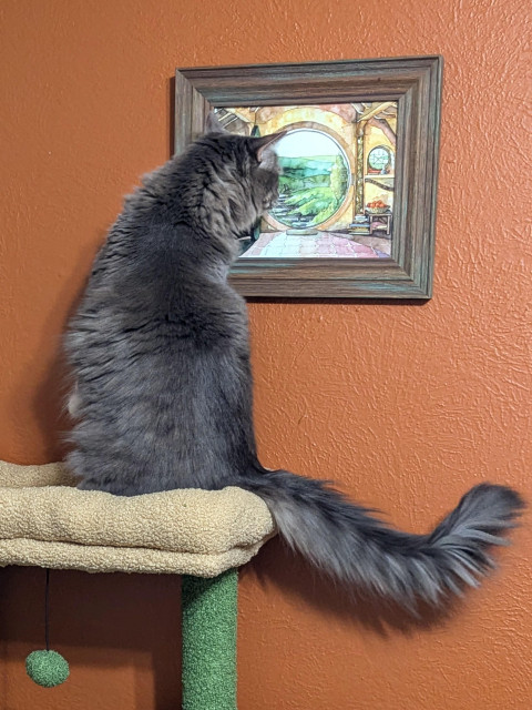 Vertical photo of the corner of a room with a terra cotta colored wall where a small, wonderfully fluffy grey cat is sitting on her hind legs atop a green and light brown cat tree to investigate a small painting of the cozy, round entrance to a Hobbit hole (a la JRR Tolkien). This is my cat Fell, her back to us and her tail curling away to her right as she reaches her head over her right shoulder, one tiny, white paw just barely visible at her left side while the other is braced against the wall so she can lean into the painting for a good look. The watercolor Hobbit hole is enticingly illustrated and inviting, and Fell is looking into it as though through a porthole in a ship of her imagination. She might just leap right in.