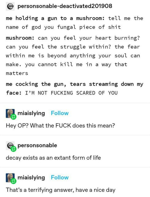 A Tumblr reblog chain:

me holding a gun to a mushroom: tell me the name of god you fungal piece of shit
mushroom: can you feel your heart burning? can you feel the struggle within? the fear within me is beyond anything your soul can make. you cannot kill me in a way that matters
me cocking the gun, tears streaming down my face: I’M NOT FUCKING SCARED OF YOU

---

Hey OP? What the FUCK does this mean?

---

decay exists as an extant form of life

---

That’s a terrifying answer, have a nice day 