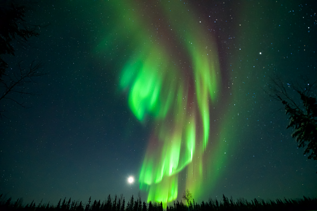 Swirls of green, light green and red.