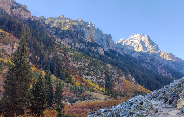 A rocky flat path leading through a  colorful canyon in the Grand Tetons. Brown and red from the scrub brush, yellow from various deciduous trees and shrubs, green from conifers, grey from the rocky mountains. A beautiful clear blue sky above. 