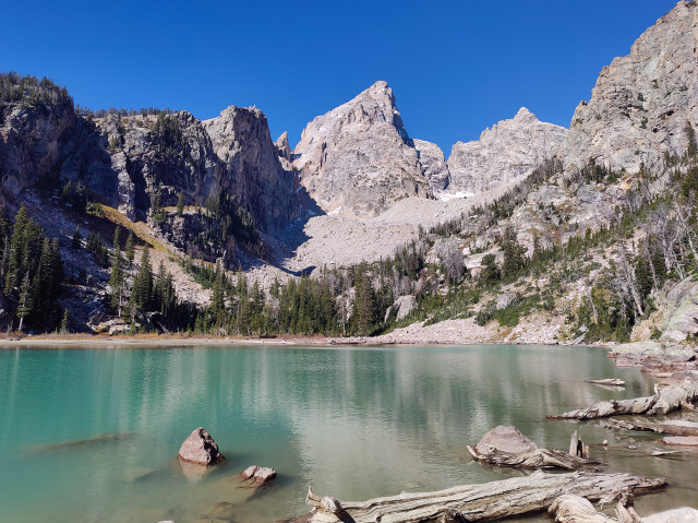 Tall rocky mountains jut up from a truly turquoise lake in the Tetons. Various logs and rocks line the edge of the lake. It's calm and beautiful. 