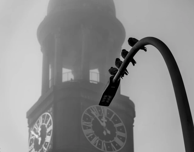 Vier Tauben sitzen mit aufgeplustertem Federkleid auf einer Straßenlaterne. Im Nebel hinter der Laterne ist der Glockenturm des Hamburger Michel zu sehen. Es ist kurz vor Mittag. 
.
Four pigeons sit on a street lamp with their plumage fluffed up. The bell tower of Hamburg's Michel church can be seen in the fog behind the lantern. It is close to midday. 
.
