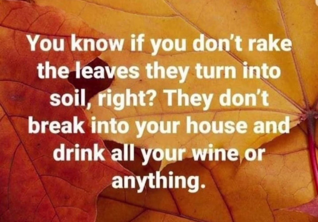 You know if you dint rake the leaves they turn into soil, right? They don't break into your house and drink all your wine or anything.