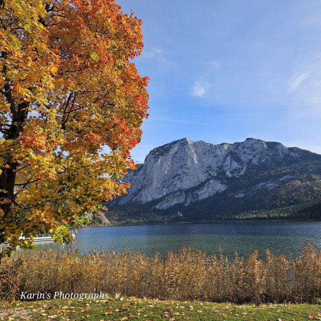 Leuchtend buntes Herbstlaub an einem mächtigen Baum am Ufer eines grünblauen Bergsees, im Hintergrund eines Bergmassivs. Der Himmel ist hellblau mit zarten Wölkchen.