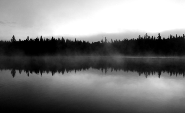 Black and white photograph of a foggy northern lake, reflecting the conifer  boreal forest growing on its shores, as well as the sky and the fog itself. The reflected image is almost perfect and gives the whole the appearance of an oscillogram, a diagram representing the recording of sound, oscillating on each side of an horizontal axis.