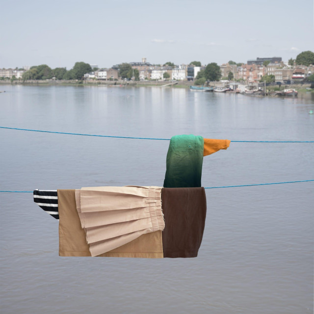 brown, green, and tan garments draped over a clothesline to look like a mallard